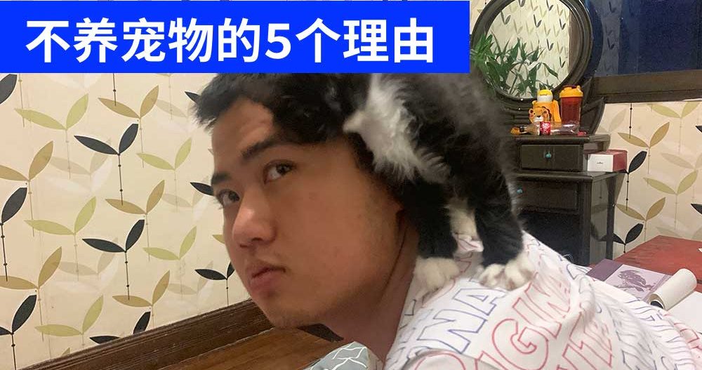 Lanpengyou